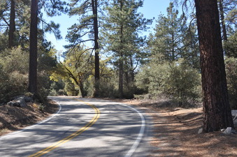 Enlarge photo 10