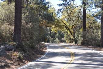 Enlarge photo 11