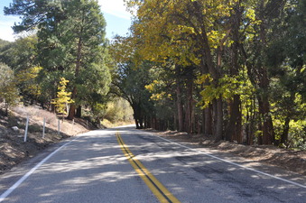 Enlarge photo 14