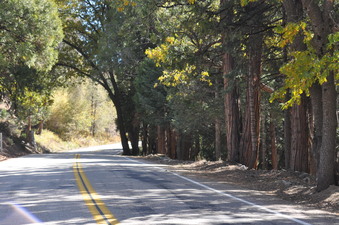 Enlarge photo 15