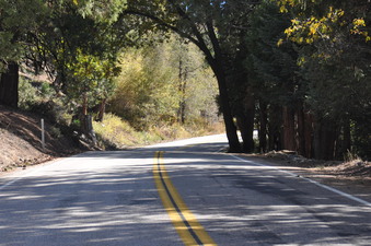 Enlarge photo 16