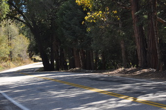Enlarge photo 18
