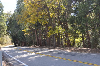 Enlarge photo 19