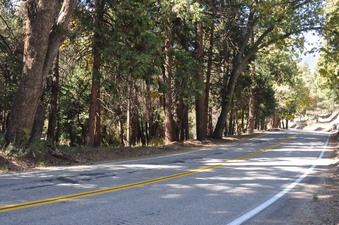 Enlarge photo 20