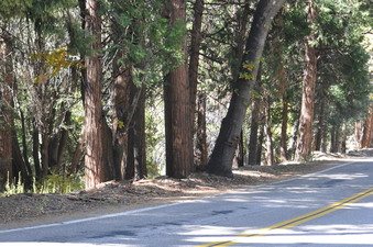 Enlarge photo 21