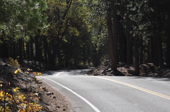 Enlarge photo 25