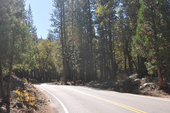 Enlarge photo 26