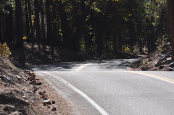 Enlarge photo 27