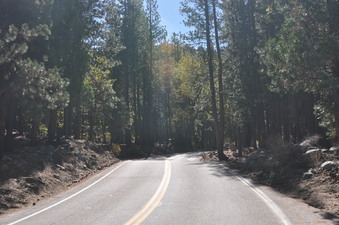 Enlarge photo 28