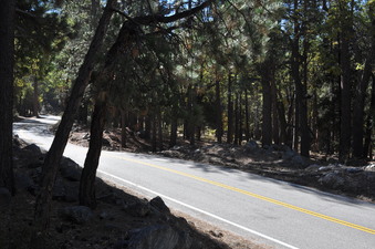 Enlarge photo 31