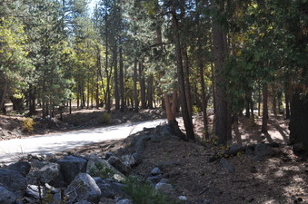 Enlarge photo 32