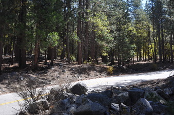 Enlarge photo 33