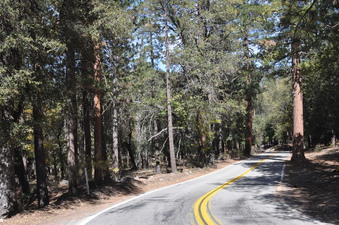 Enlarge photo 34