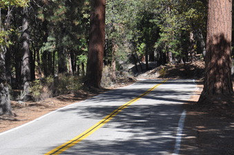 Enlarge photo 36