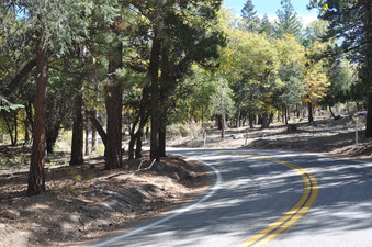 Enlarge photo 37