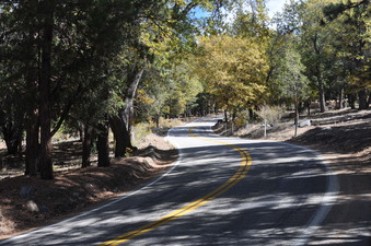 Enlarge photo 38