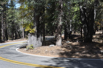 Enlarge photo 39