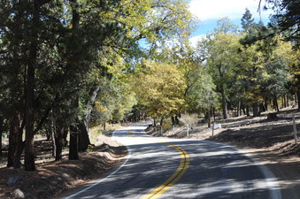 Enlarge photo 40