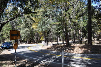 Enlarge photo 41