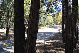Enlarge photo 42