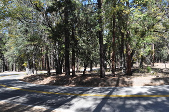 Enlarge photo 43