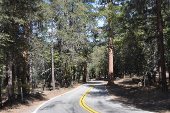 Enlarge photo 45