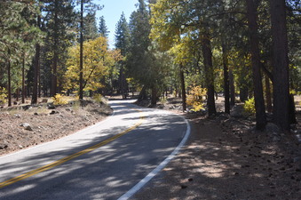 Enlarge photo 46