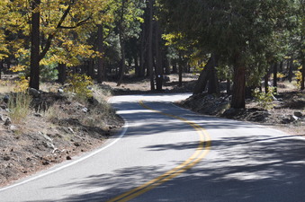 Enlarge photo 47