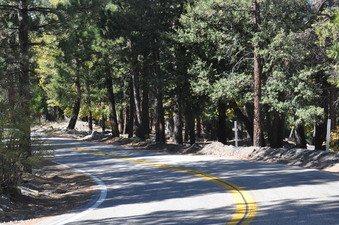 Enlarge photo 49