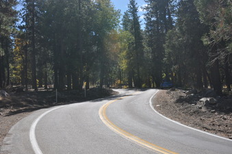Enlarge photo 50