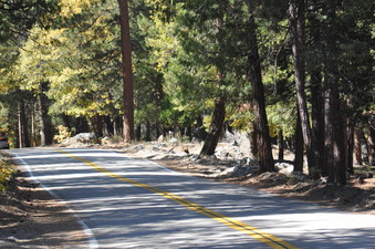 Enlarge photo 51