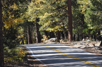 Enlarge photo 52
