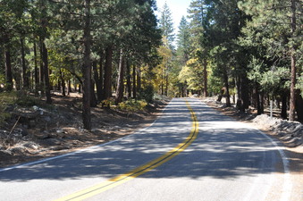 Enlarge photo 53
