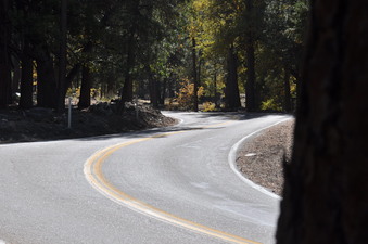 Enlarge photo 56