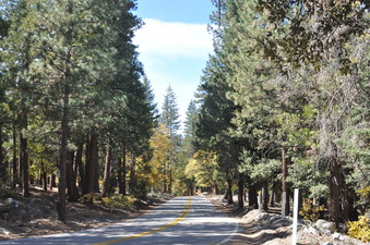 Enlarge photo 57