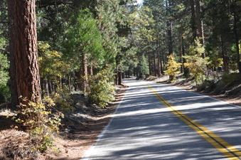 Enlarge photo 61