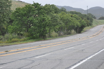 Enlarge photo 34
