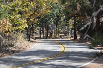 Enlarge photo 16