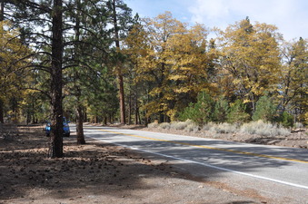 Enlarge photo 18