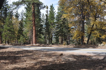 Enlarge photo 19
