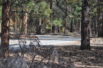 Enlarge photo 20