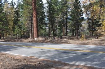 Enlarge photo 22
