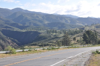 Enlarge photo 42