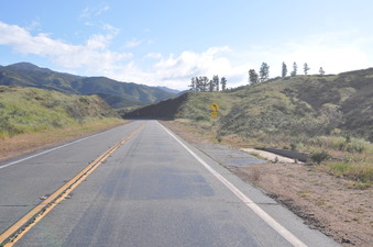 Enlarge photo 44