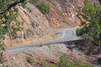 Enlarge photo 39