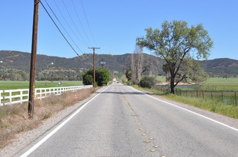 Enlarge photo 37
