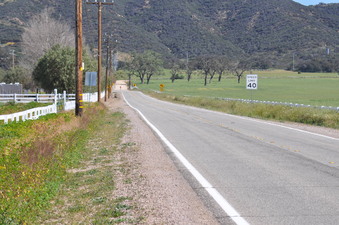Enlarge photo 25