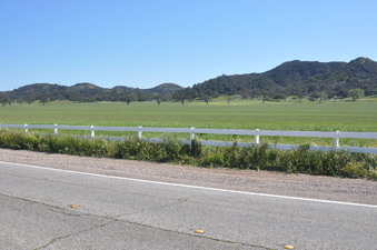 Enlarge photo 34