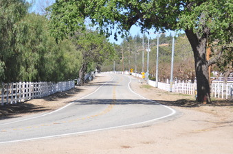 Enlarge photo 18