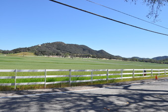 Enlarge photo 39
